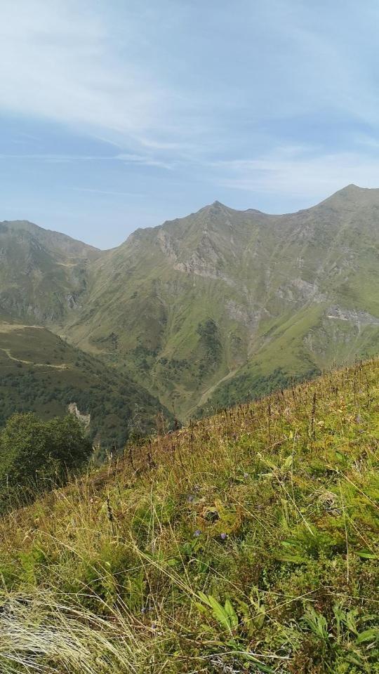 Bed and Breakfast Soupiets Betpouey Zewnętrze zdjęcie